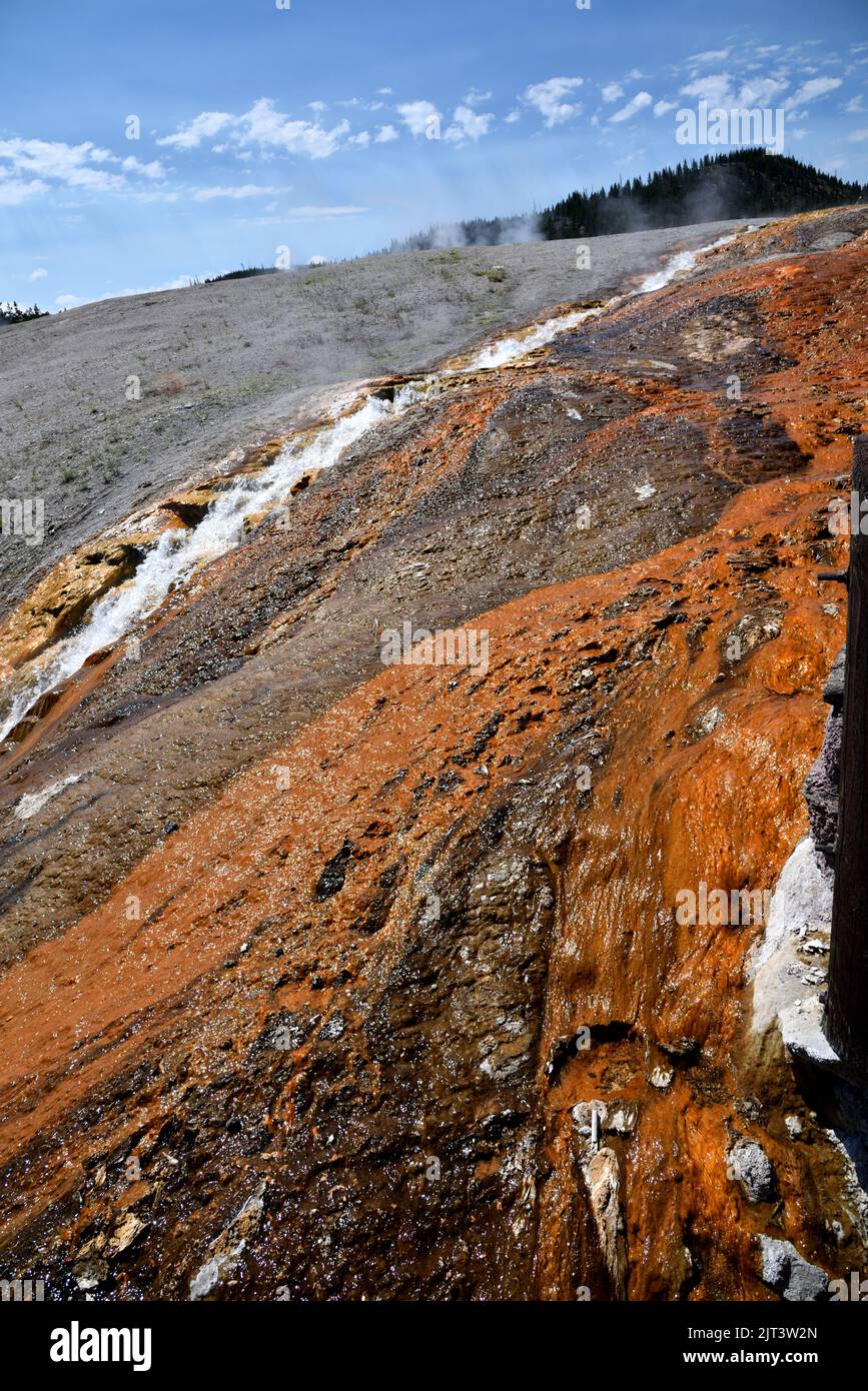 Yellowstone National Park hot springs Stock Photo Alamy