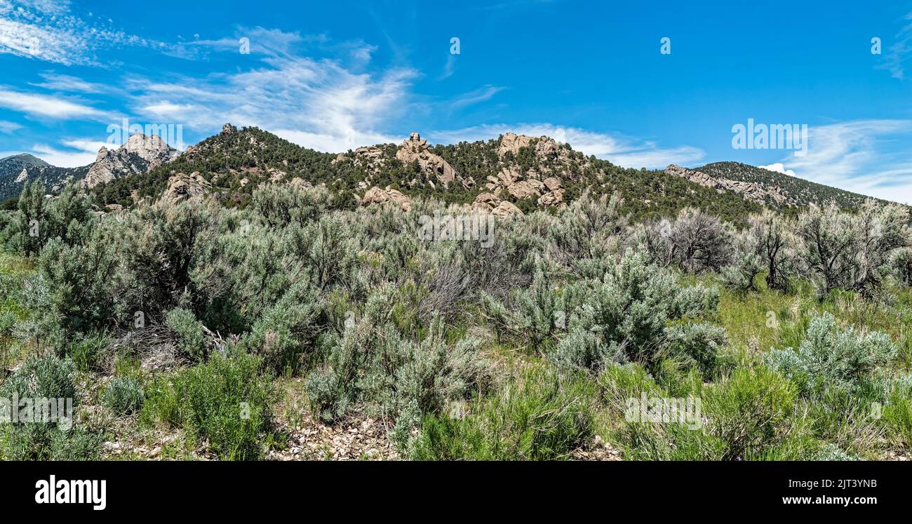 Sage and grass grows among the rock formations at the City of Rocks National Reserve, Idaho, USA Stock Photo