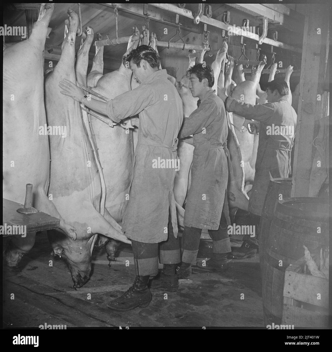 Tule Lake Relocation Center, Newell, California. A view in the