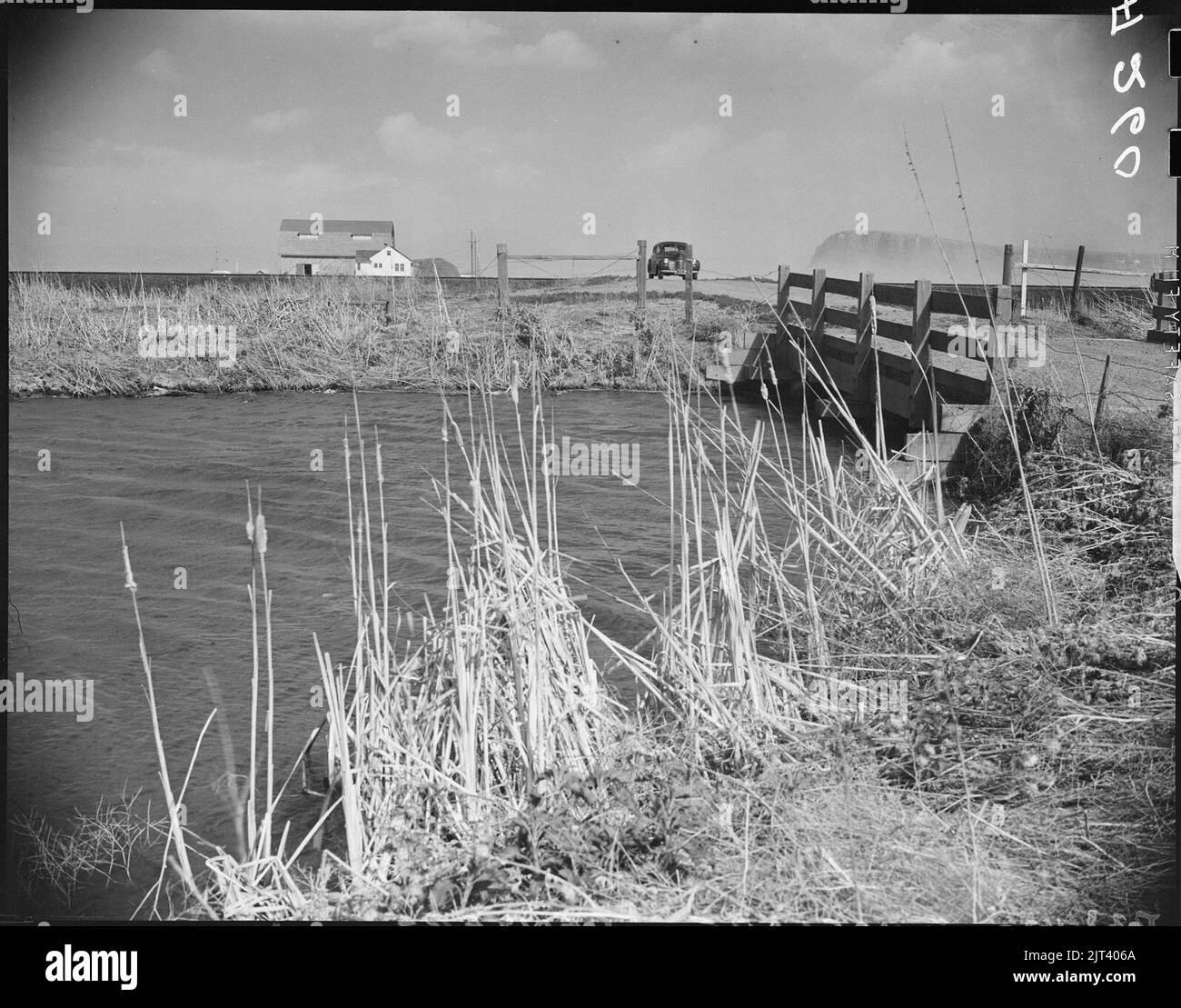 Tule Lake Relocation Center, Newell, California. Drainage ditch near
