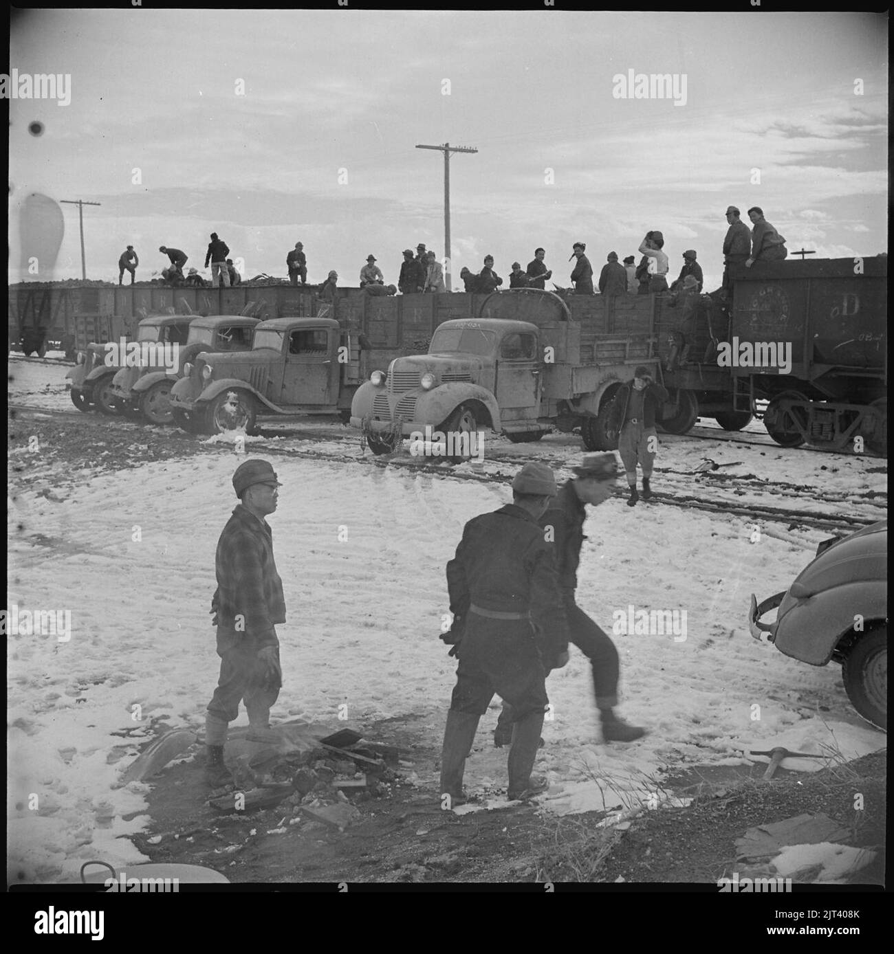Tule Lake Relocation Center, Newell, California. Evacuee workers unload coal at Staley Junction