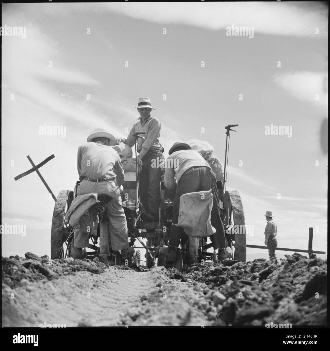 Tule Lake Relocation Center, Newell, California. Seed potatoes are