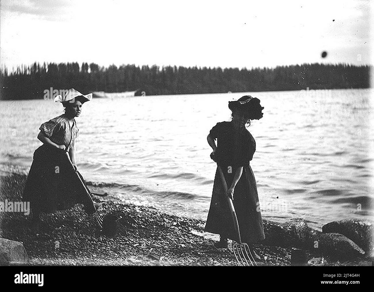 Two women digging clams with pitchforks on the beach in Burton, Vashon