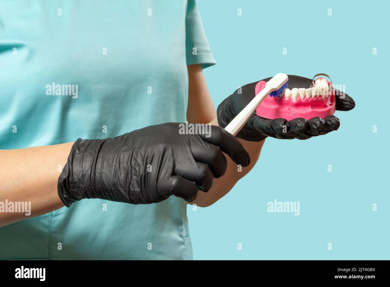 Close-up view of dentist's hands with the human jaw layout and the ...