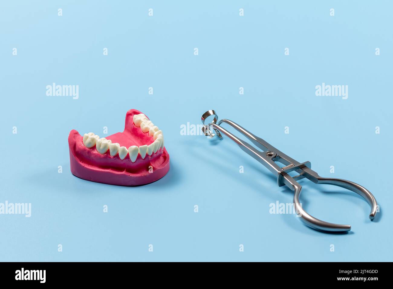 Layout of the human jaw and the rubber dam clamp forceps with the clamp
