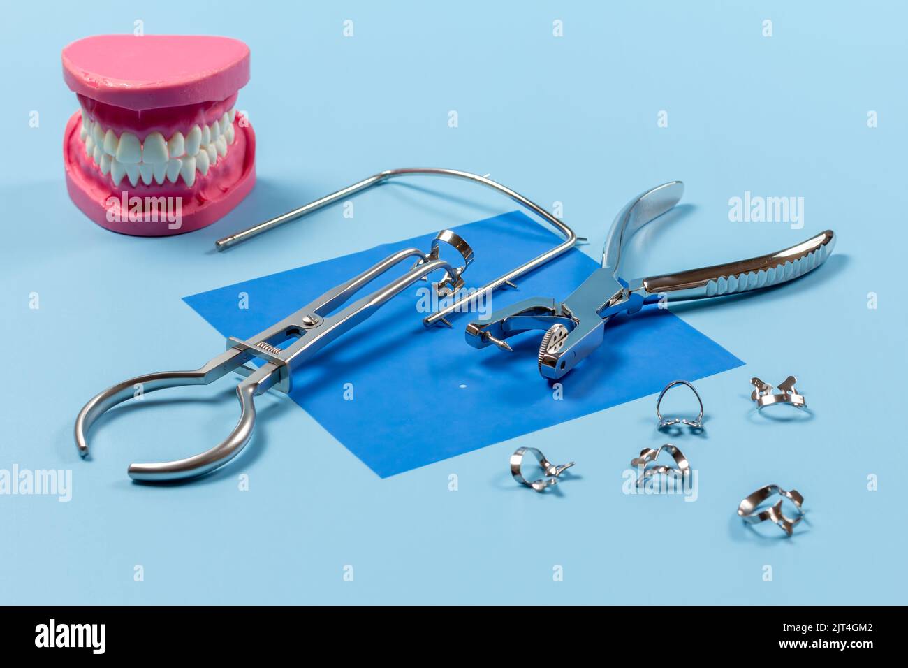 Layout of a human jaw, the dental hole punch, the clamps, the metal