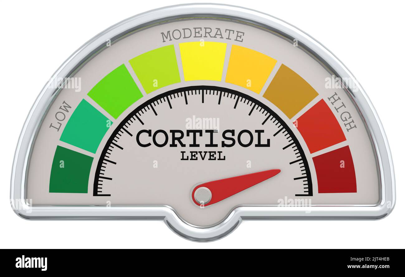 cortisol-level-measuring-scale-with-color-indicator-3d-rendering-stock