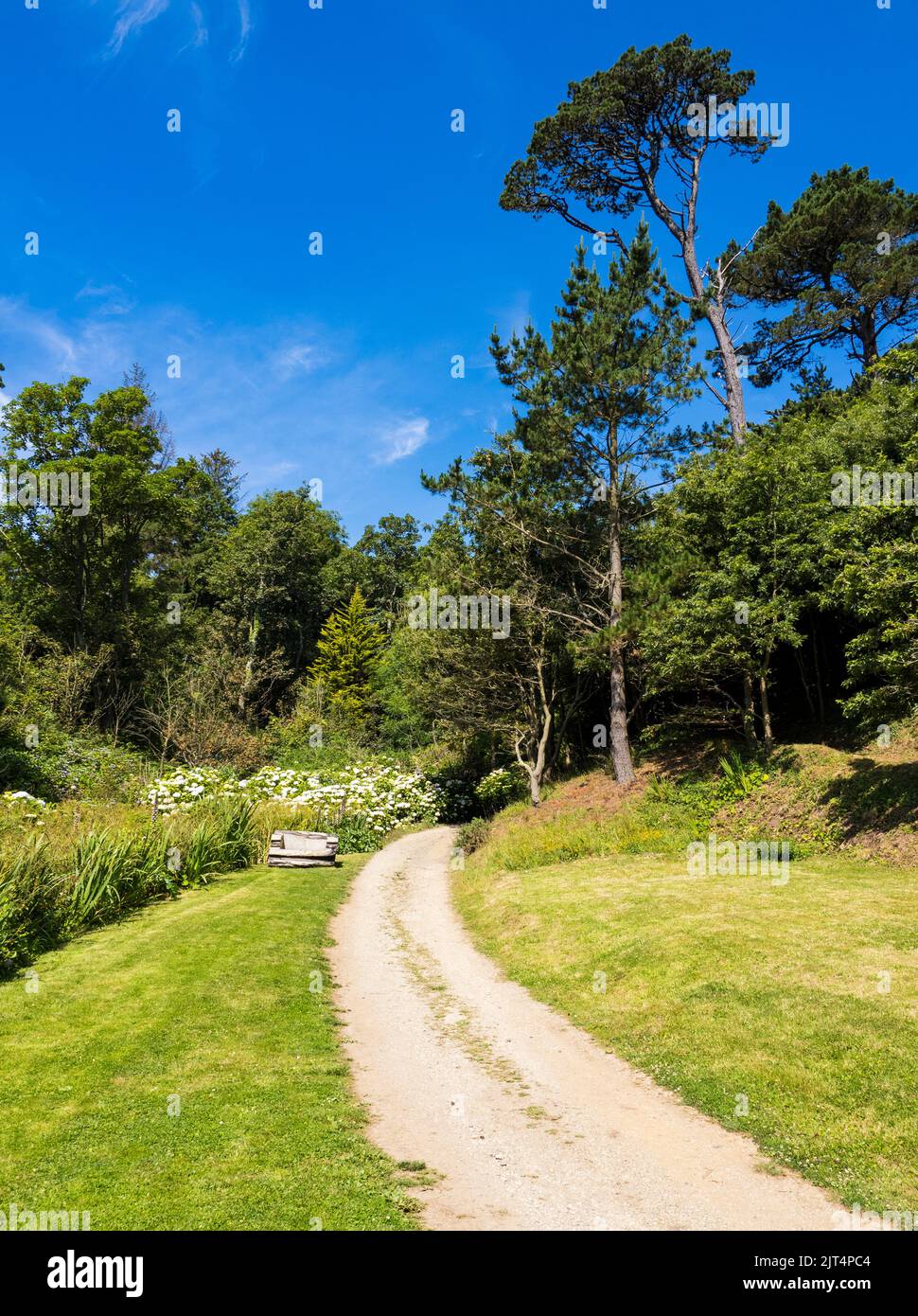 Path Leading from Bream Cove, Falmouth, Cornwall, England, UK, GB. Stock Photo