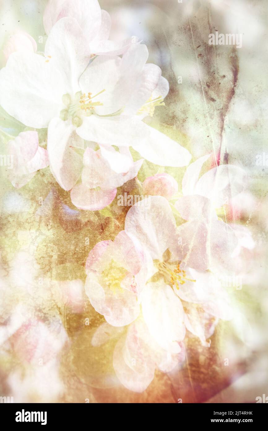 Spring Color Pastel Abstract Abstract spring background image in pastel colors with the texture of ...