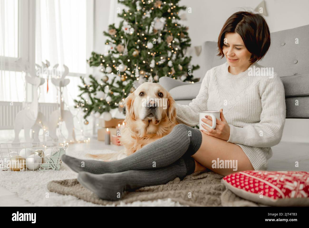 Girl with cocoa and golden retriever dog Stock Photo Alamy