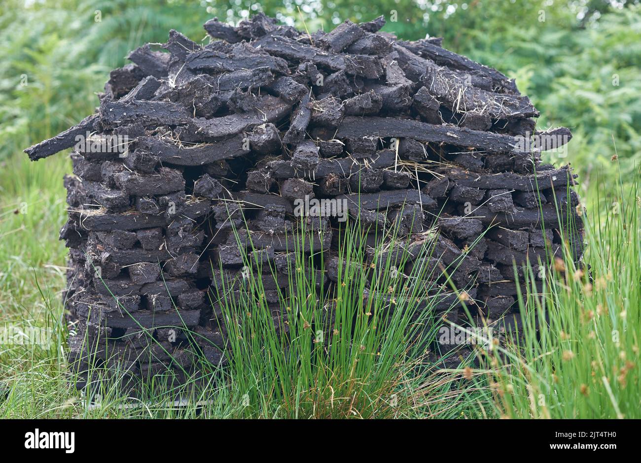 Stacks of turf fossil fuel drying in an Irish bog. Stock Photo