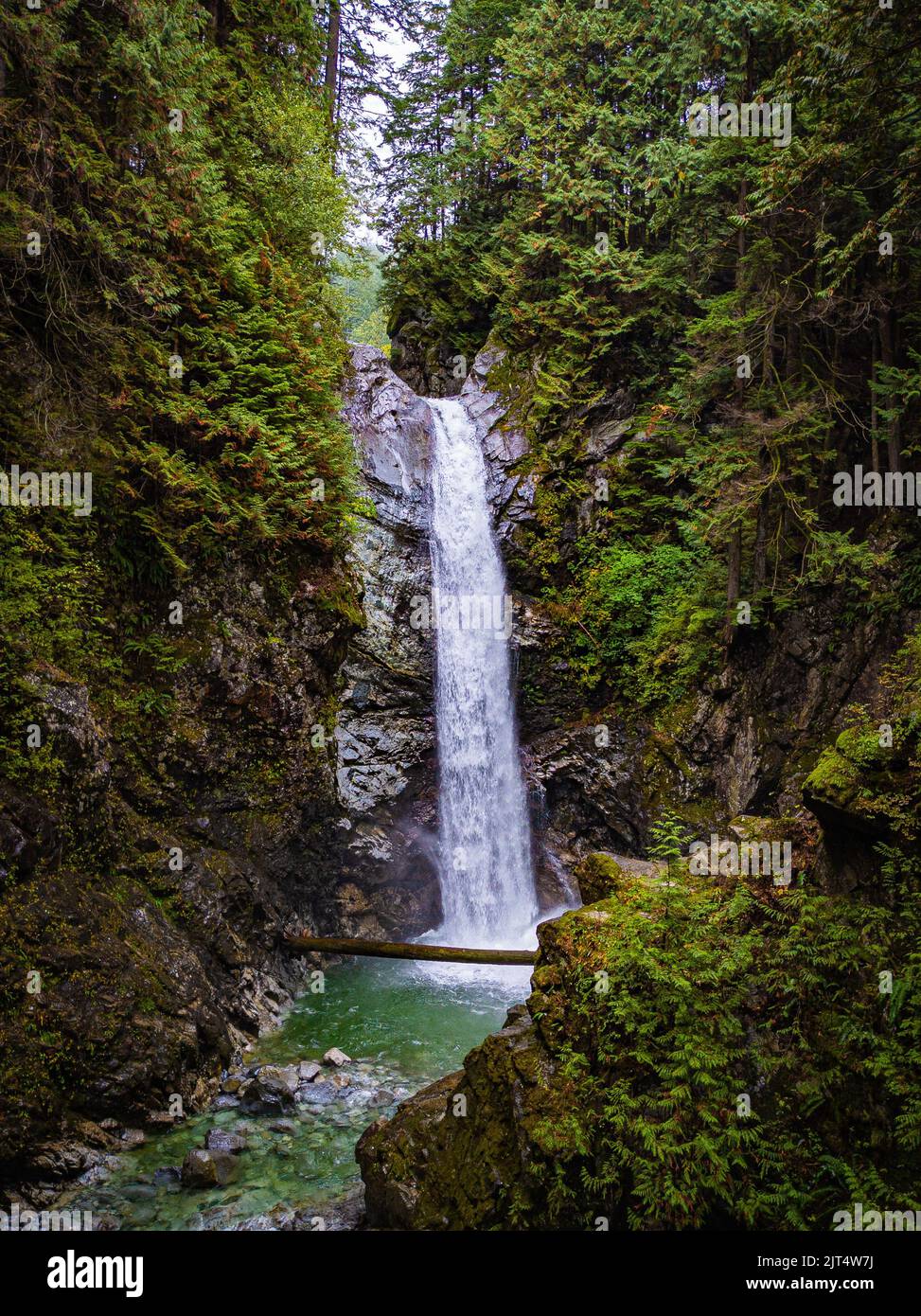 A vertical shot of a beautiful waterfall in a forest in British ...