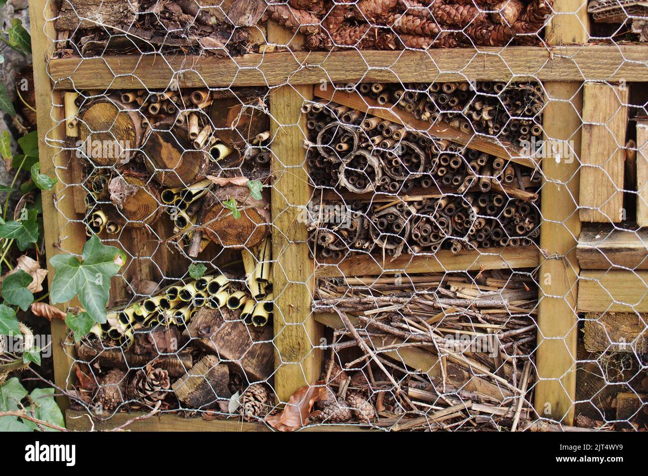 Image of large size bee hotel in Brandon Country Park garden showing diverse range of materials in use Stock Photo