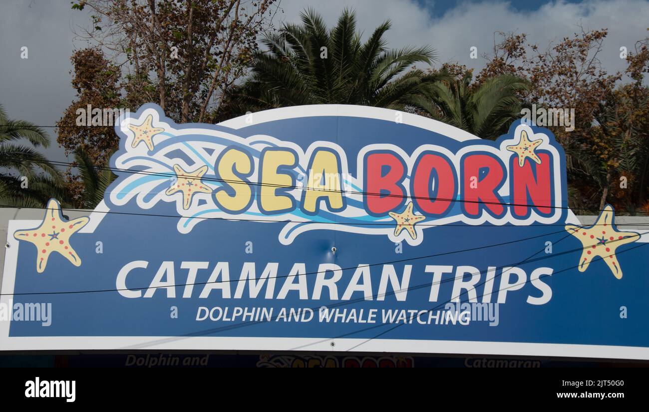 Sign for Catamaran Trips, The Marina, Funchal, Madeira, Portugal, Europe Stock Photo