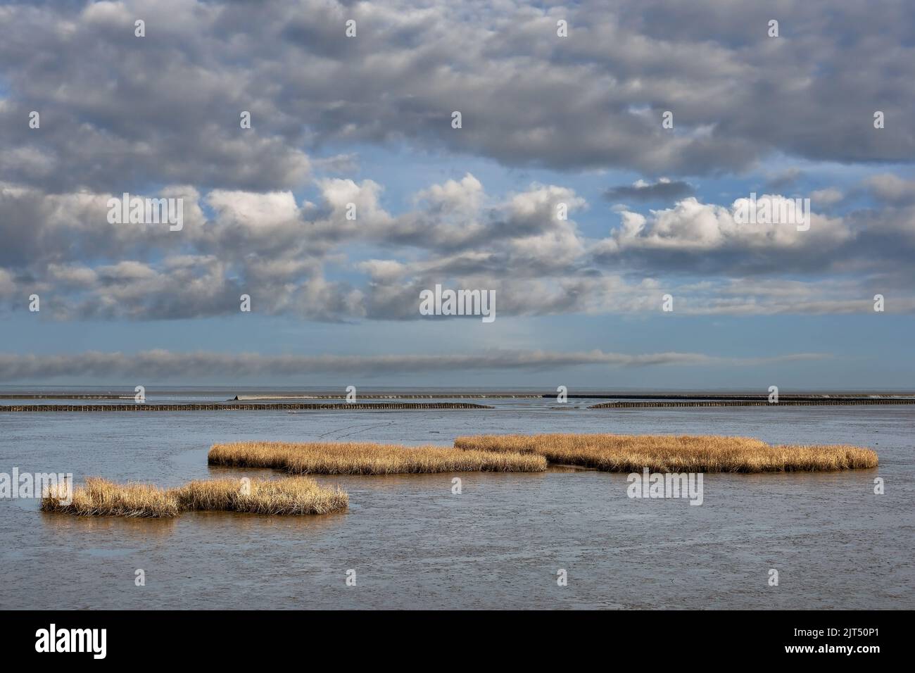 Coastal Landscape in Wattenmeer National Park,North Sea,Germany Stock Photo