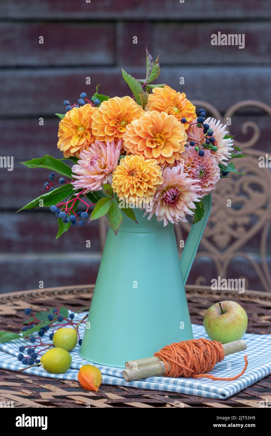 bouquet of orange dahlia flowers and berries of wild wine in vintage jug in garden Stock Photo