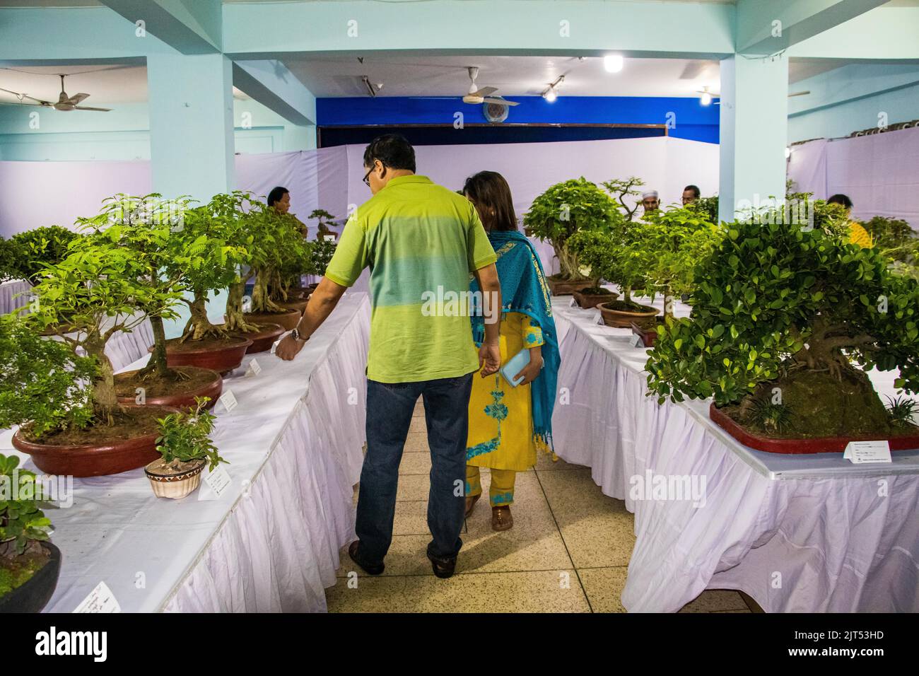 Bonsai tree exhibit on August 27, 2022 Stock Photo Alamy