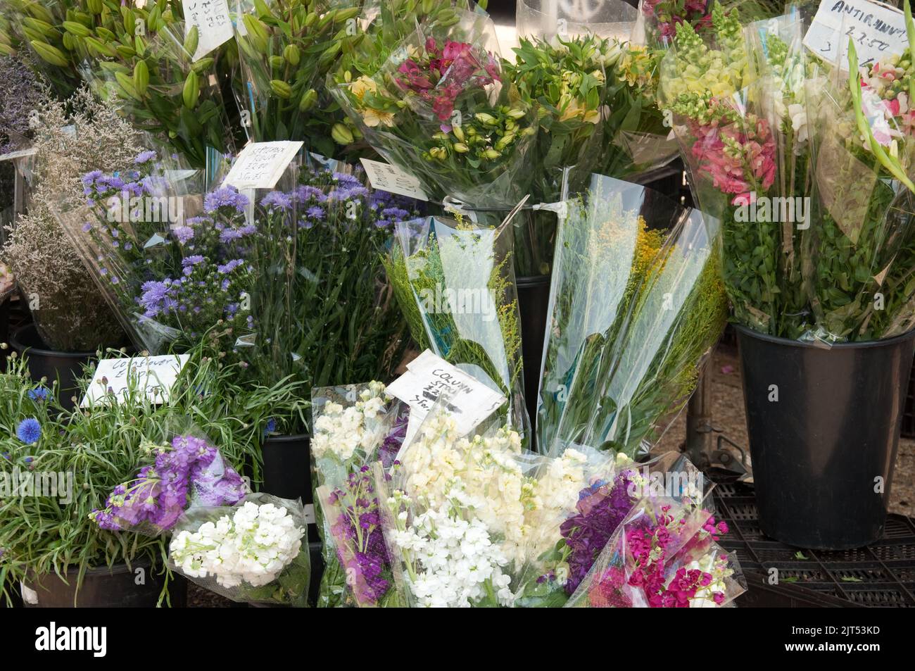 Flower Stall, Notting Hill Farmers' Market, Notting Hill Gate, London