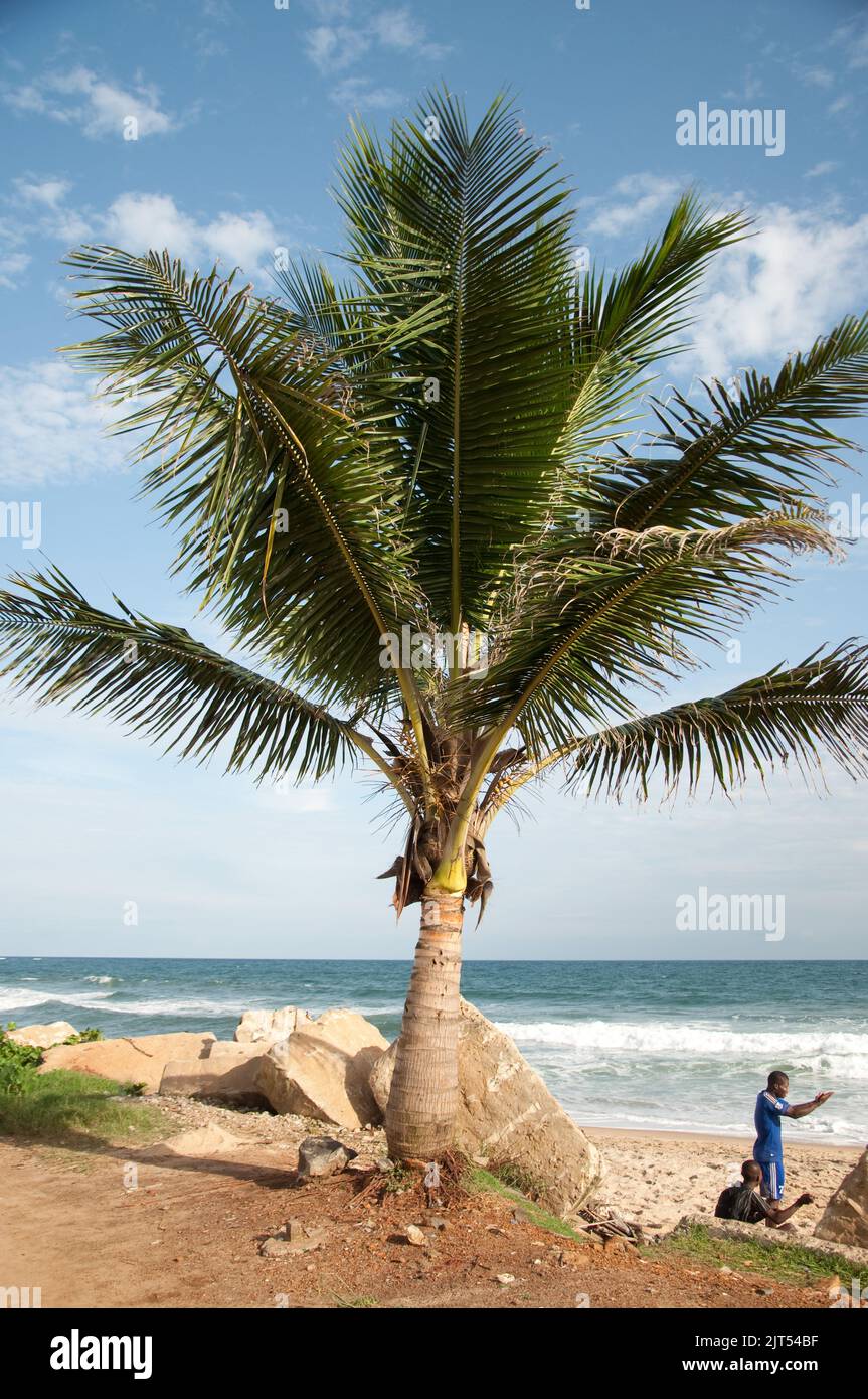 The Atlantic, Sinkor, Monrovia, Liberia - palm tree, the Atlantic with waves and people sitting on the sand. Stock Photo