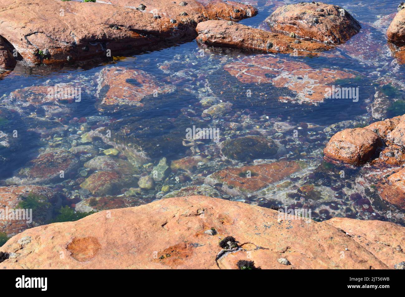 Tidal puddle showing different dimensions of the rocks and sand that camouflage a central starfish. Stock Photo