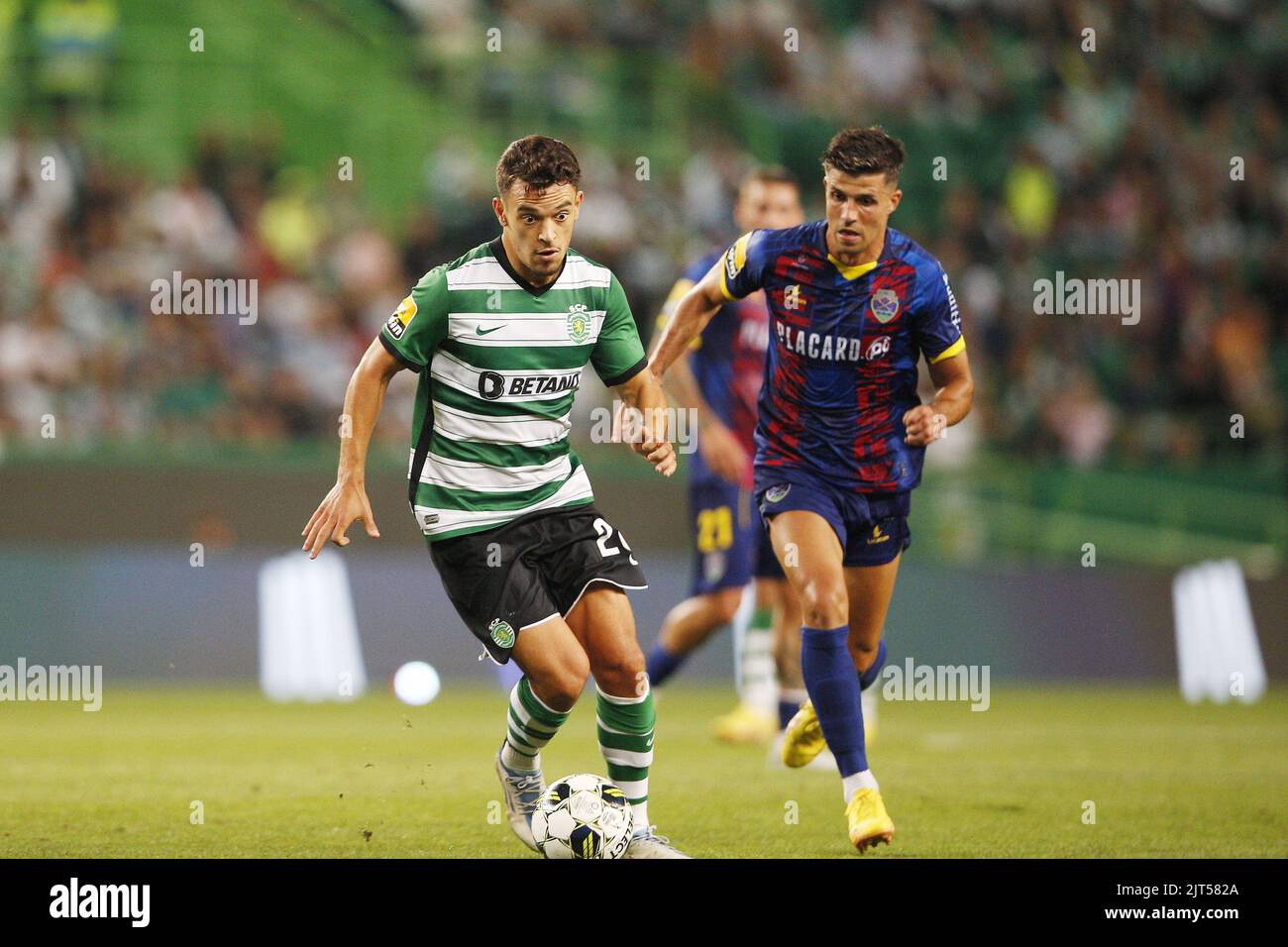 Pedro Goncalves Liga Portugal Game Sporting Vizela Estadio Jose Alvalade –  Stock Editorial Photo © mrogowski_photography #670811184