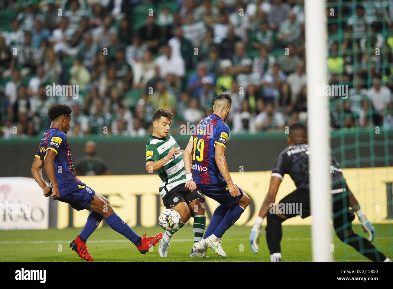 Sporting CP - ⏹ Empate dos Leões, na 4.ª jornada da #LigaPortugal. ⚽ Pedro  Gonçalves #SCBSCP // 1-1