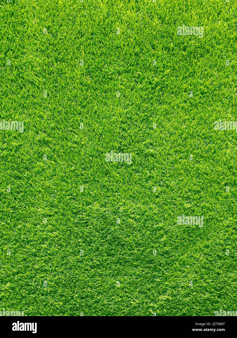 Natural background green artificial grass Stock Photo