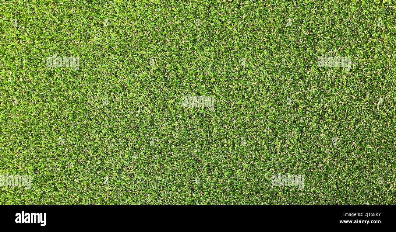 Natural background green artificial grass, top view Stock Photo