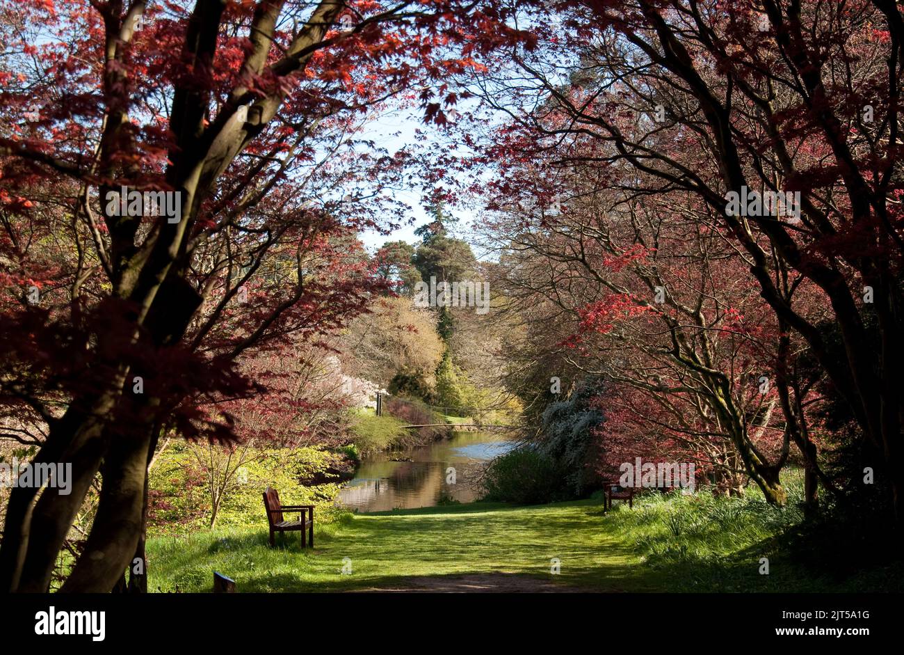 Mount Usher Gardens, Mount Usher, Co. Wicklow, Eire. Mount Usher is