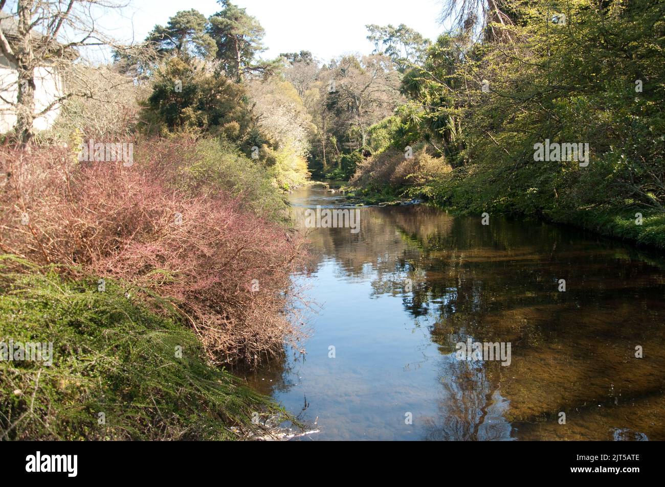 Mount Usher Gardens, Mount Usher, Co. Wicklow, Eire. Mount Usher is