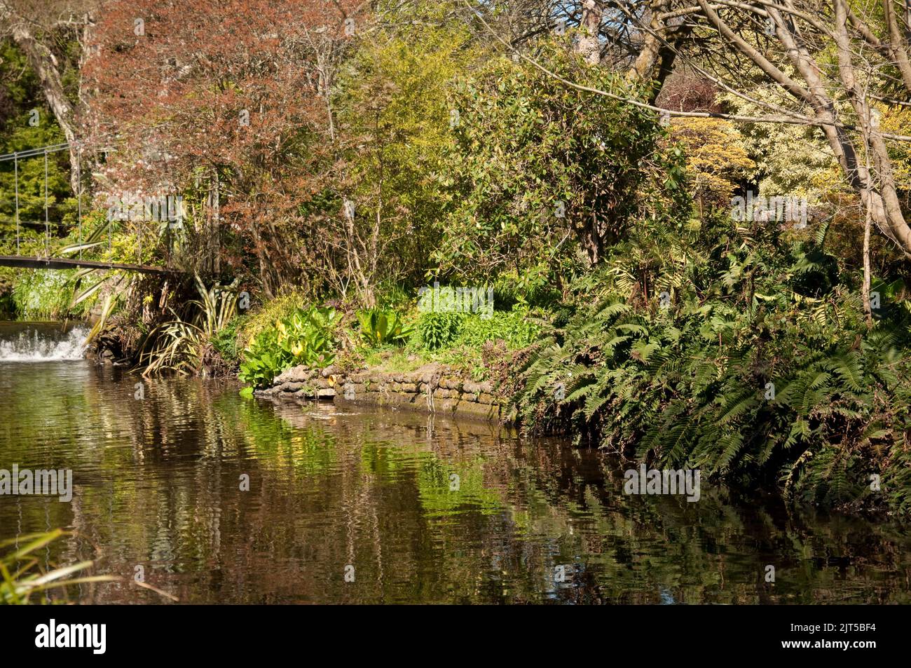 Mount Usher Gardens, Mount Usher, Co. Wicklow, Eire. Mount Usher is