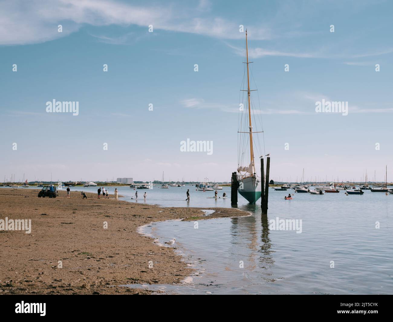 The low tide summer landscape and boats at West Mersea Harbour, Mersea