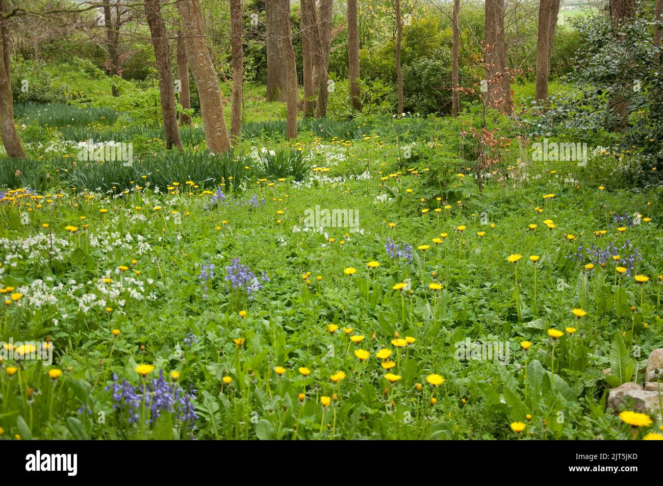 Thomastown castle hi-res stock photography and images - Alamy