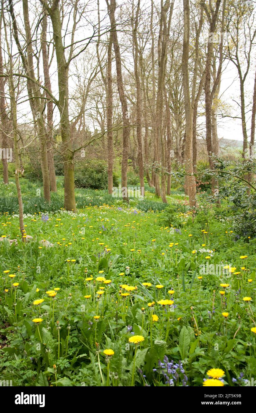 Durrow castle hi-res stock photography and images - Alamy
