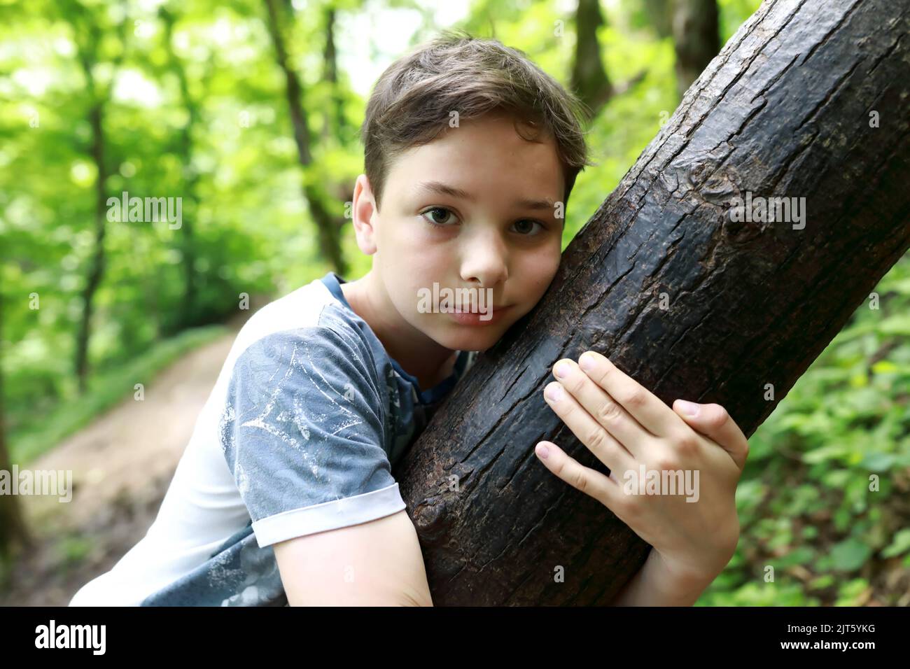 Tree hugging child hi-res stock photography and images - Alamy