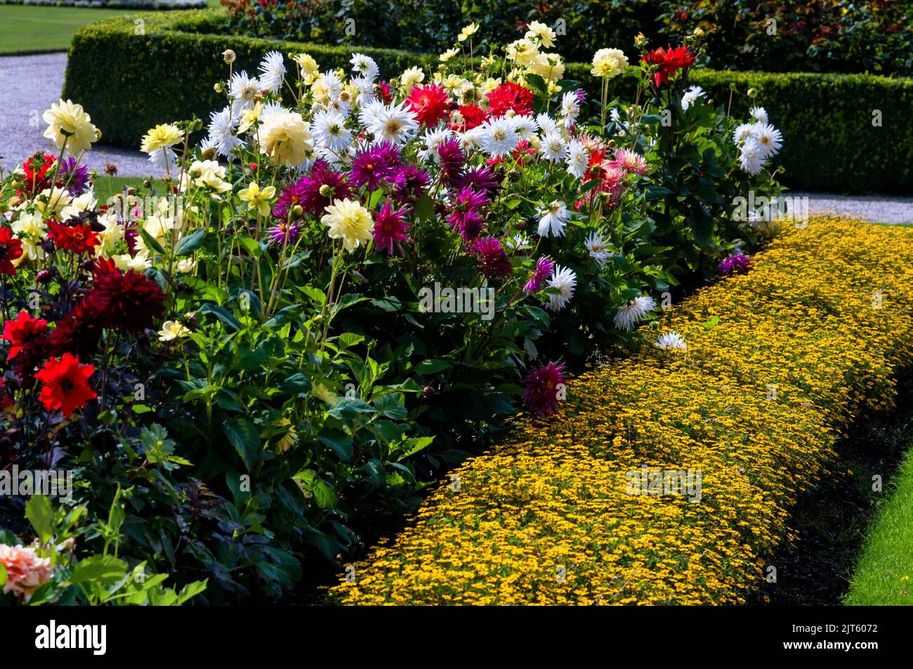 A riot of color in the formal flower gardens of Powerscourt Gardens in
