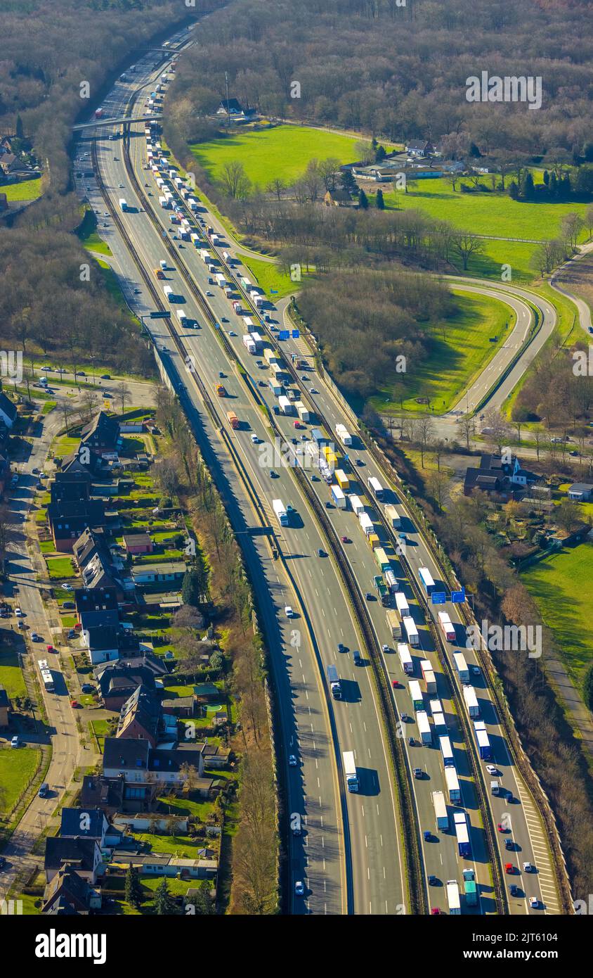 Aerial view, living at the freeway, traffic jam on A2 freeway, city forest, Bottrop, Ruhr area, North Rhine-Westphalia, Germany, Autobahn, DE, Europe, Stock Photo