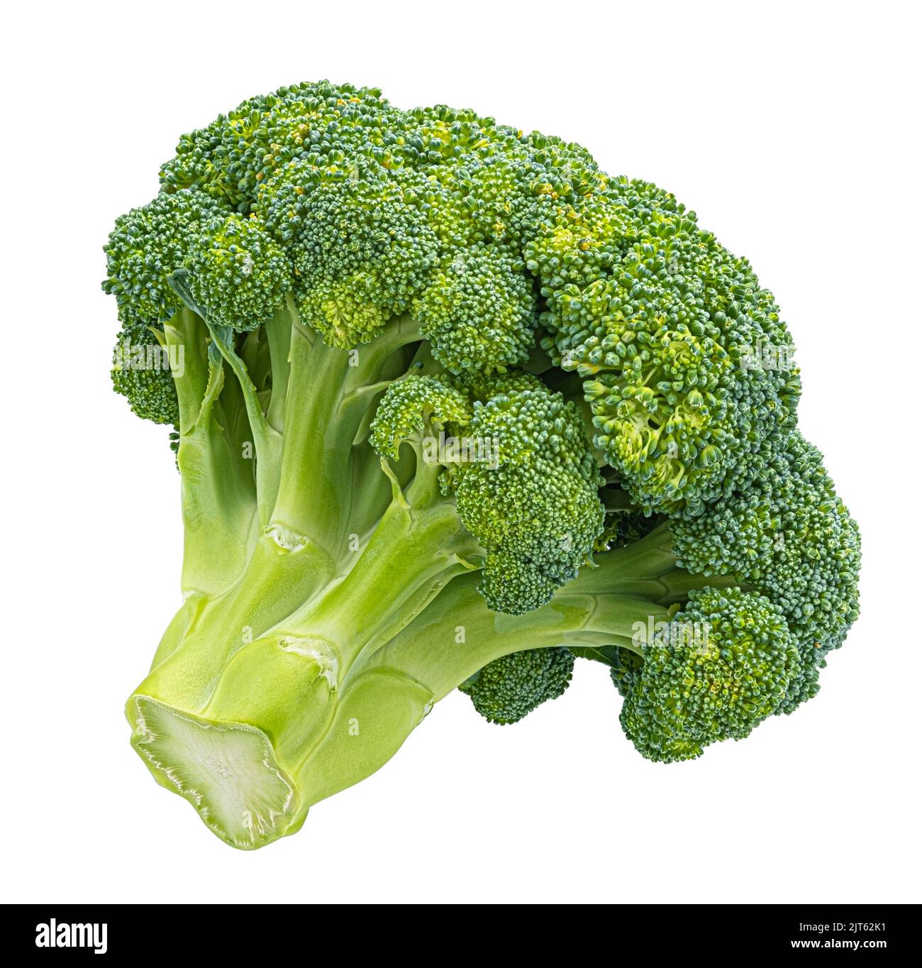 Broccoli isolated on white background Stock Photo
