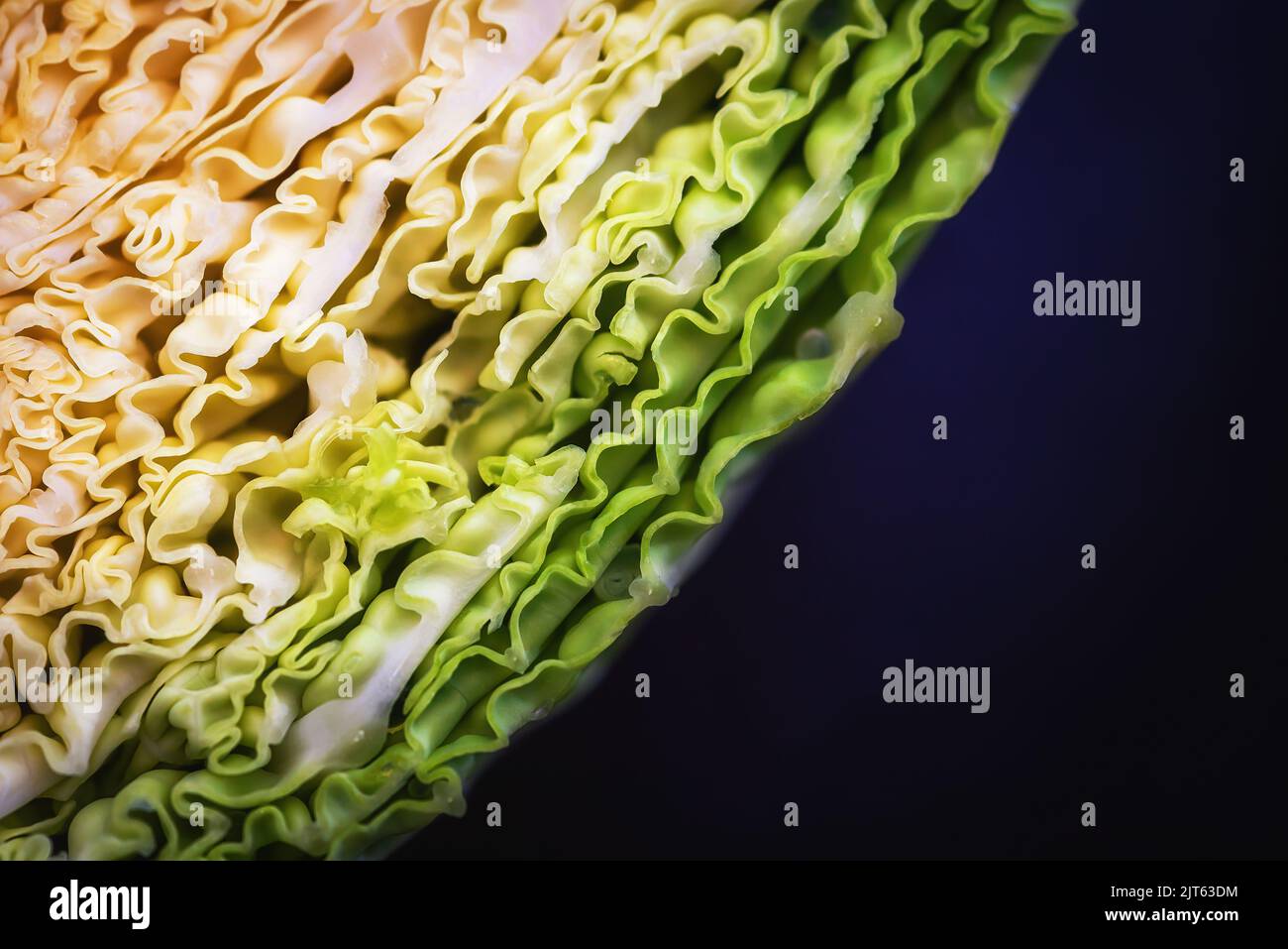 A macro focus shot of fresh cabbage layers with blur background Stock Photo