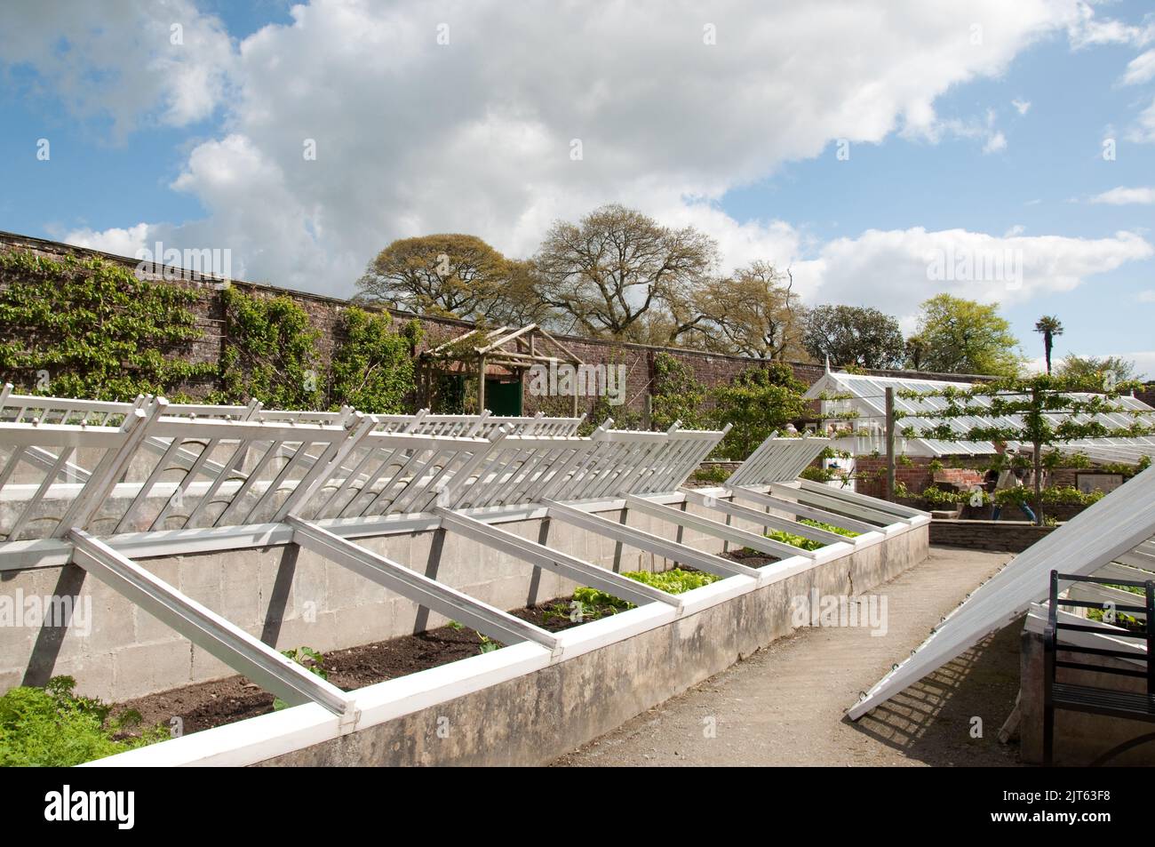The Melon Yard, Lost Gardens of Helligan, Cornwall, UK Stock Photo Alamy