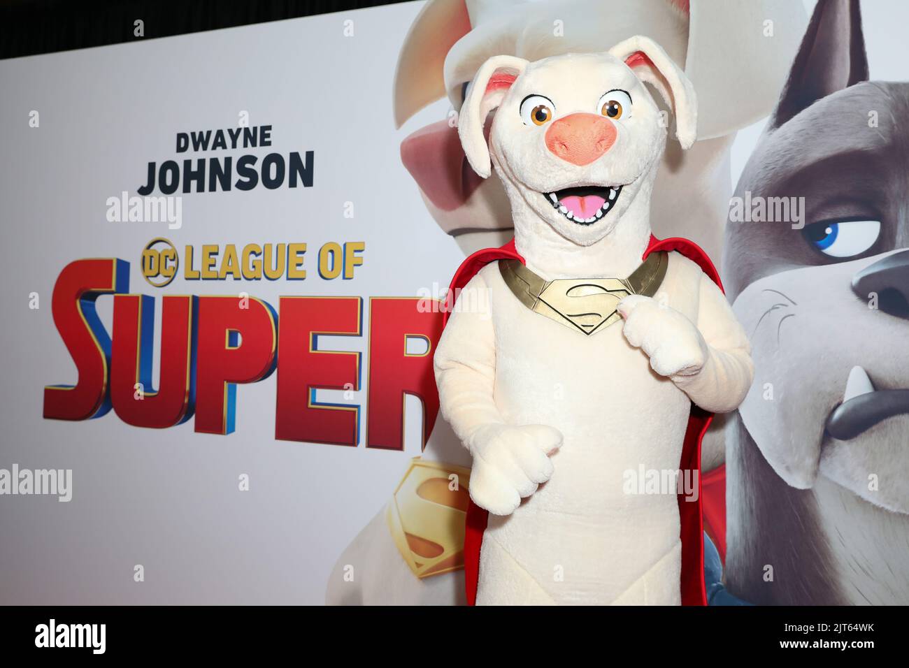August 28, 2022: Film Character poses at the 'DC League of Super-Pets' Sydney Premiere at Events Cinemas Bondi Junction on August 28, 2022 in Sydney, NSW Australia  (Credit Image: © Christopher Khoury/Australian Press Agency via ZUMA  Wire) Stock Photo