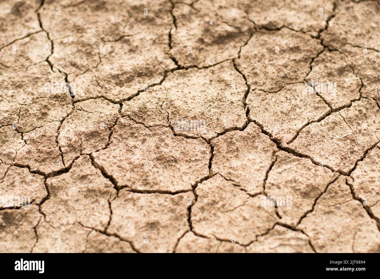 Cracked clay ground into the dry season Stock Photo