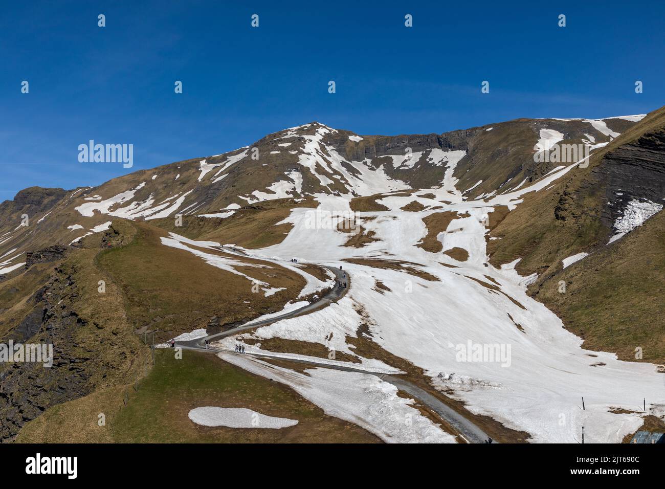 Melting winter snow during spring season in the Swiss Alps at the First Mountain near the town