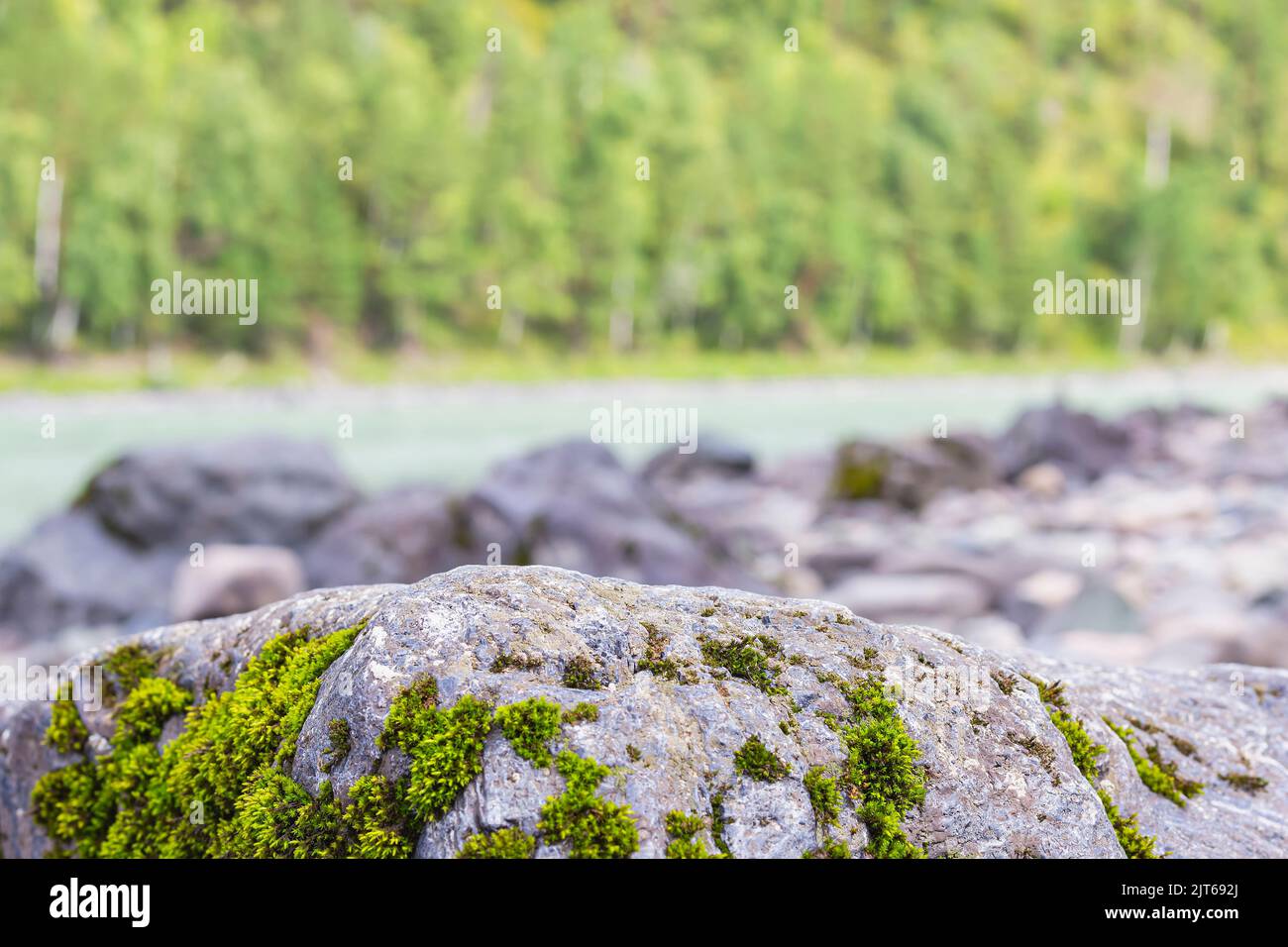 Scenic nature with beautiful mossy boulder on bank of mountain river.Mountain river among stones and trees.Moss on rock face. Relief and texture of st Stock Photo