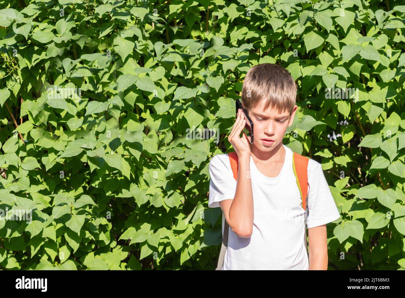 Portrait of a happy schoolboy with a backpack using a smartphone, talking on the phone on the street on a green background of leaves, copy space. The Stock Photo