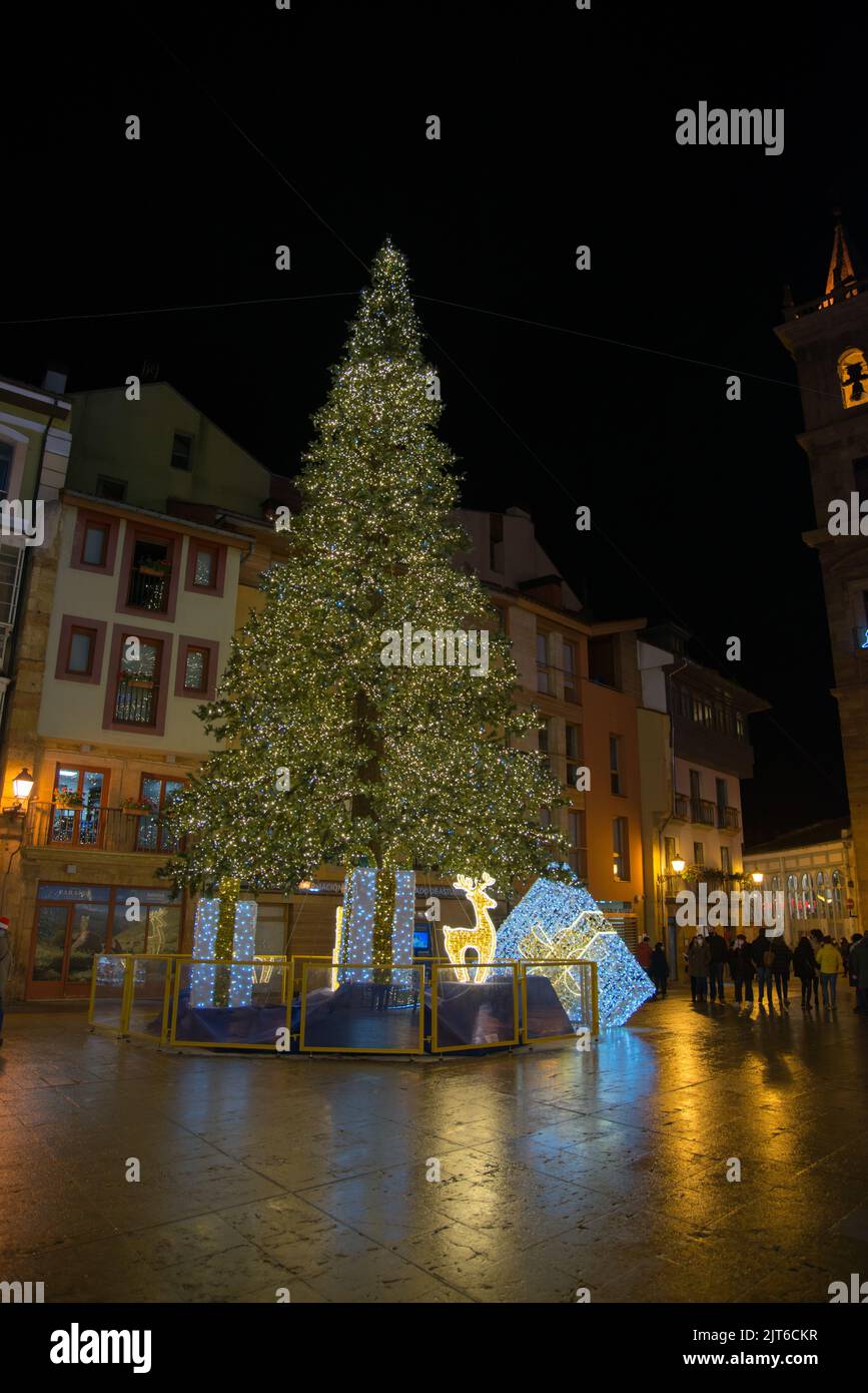 Traditional tree hires stock photography and images Alamy
