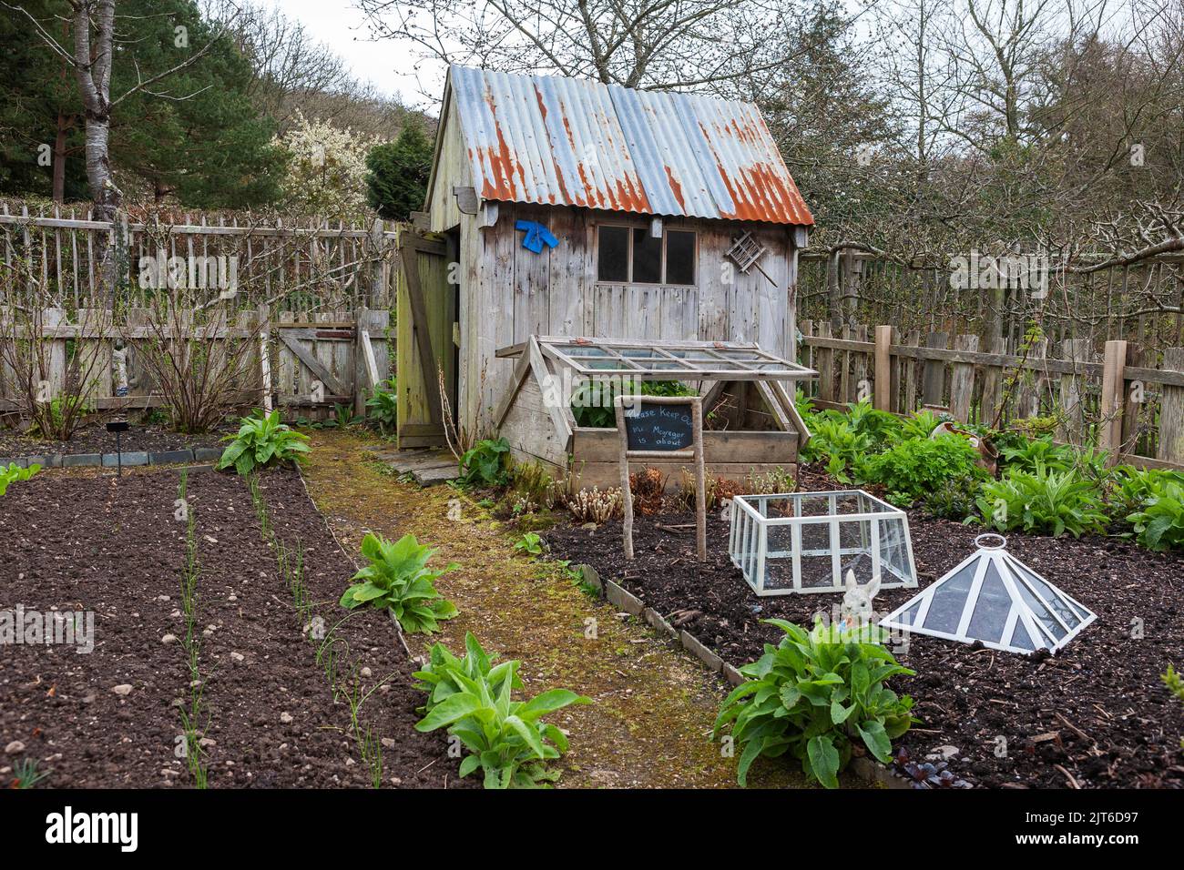 Garden shed and cold-frame in the Fruit and Vegetable Garden, RHS Rosemoor, Devon, UK Stock Photo