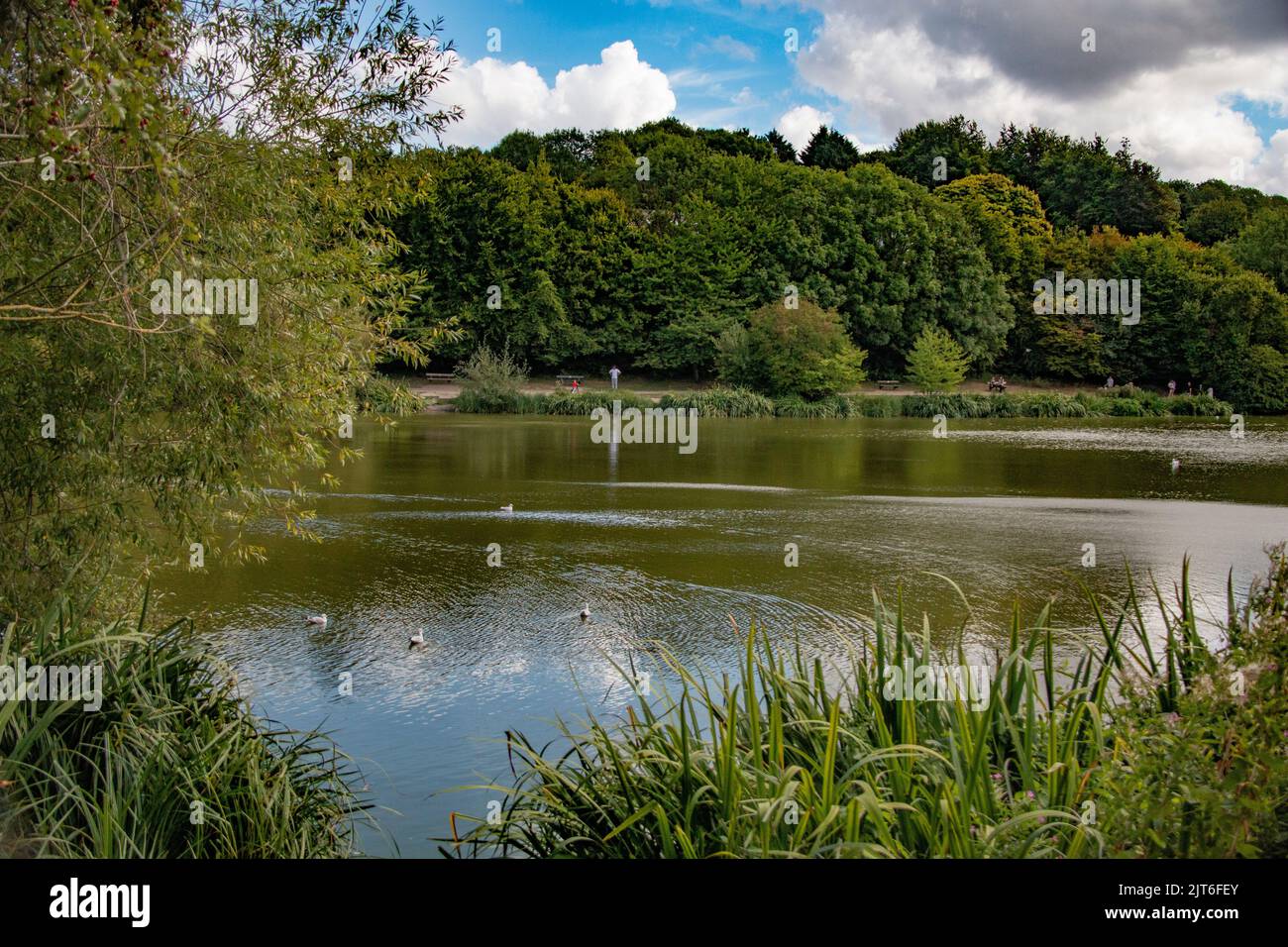 The lake at Capstone Farm Country Park, Chatham, Kent Stock Photo