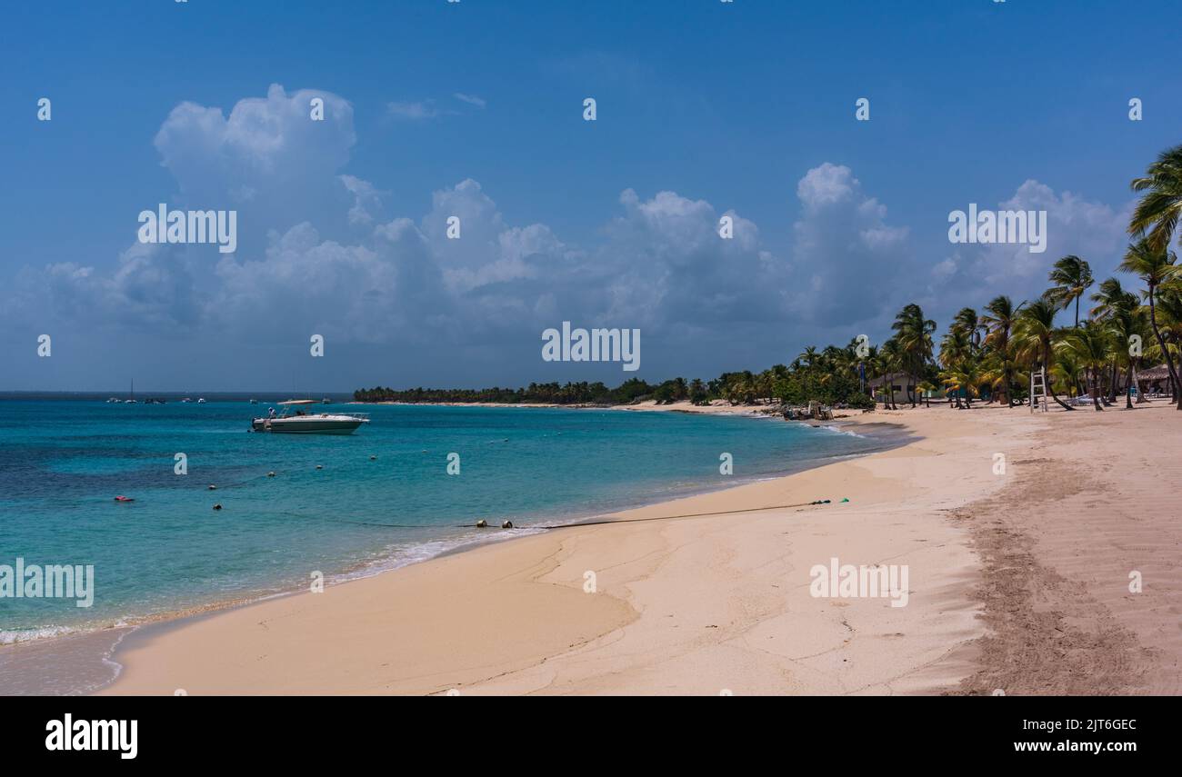 White sand, turquoise water, and palm trees in Punta Cana. Stock Photo