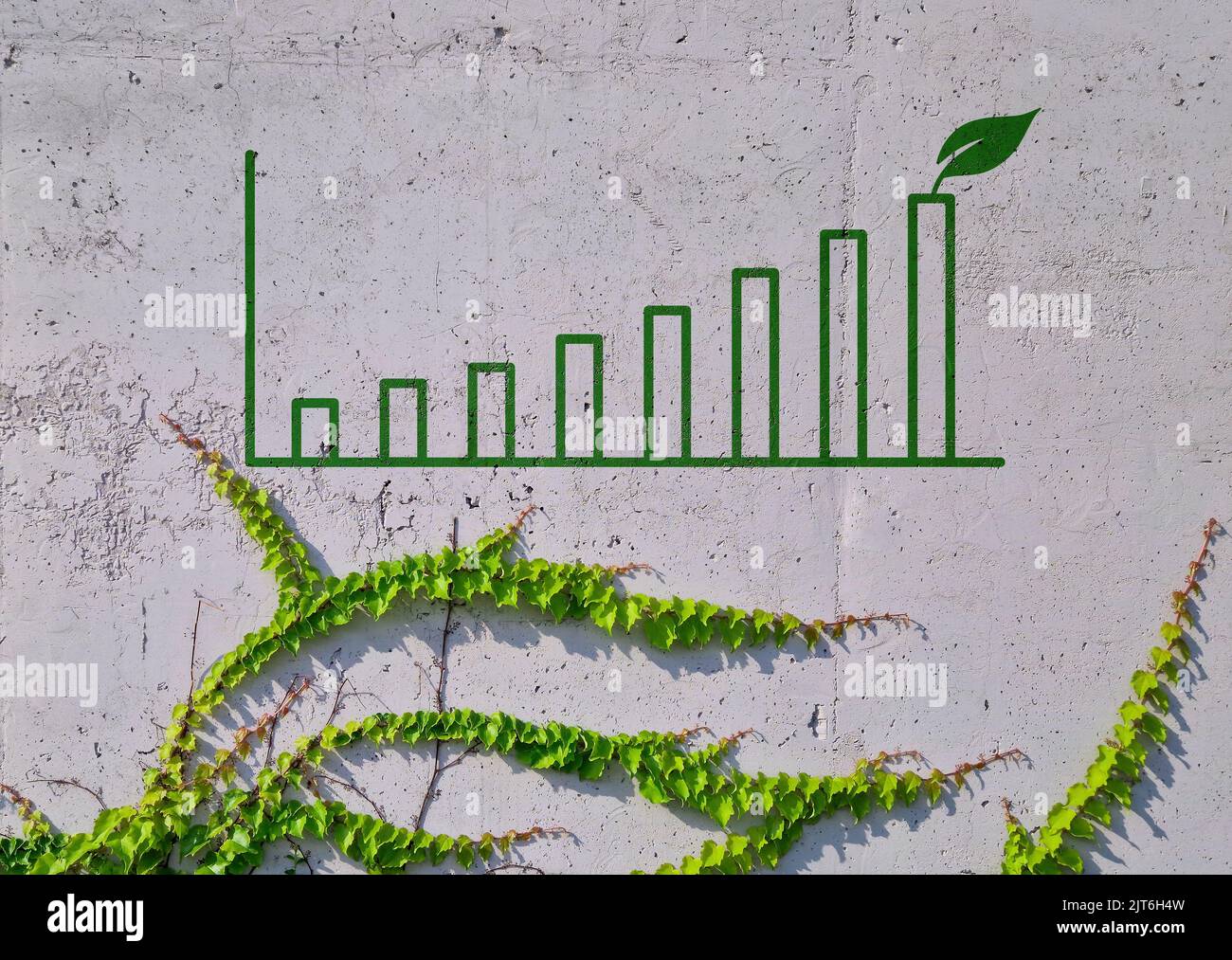 Business chart on a concrete wall and leaves. Impact Investing concept. Stock Photo